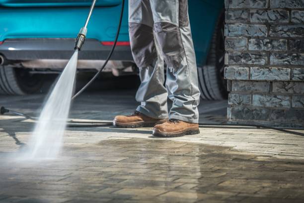 Best Roof Cleaning and Mildew Removal in New Lexington, OH