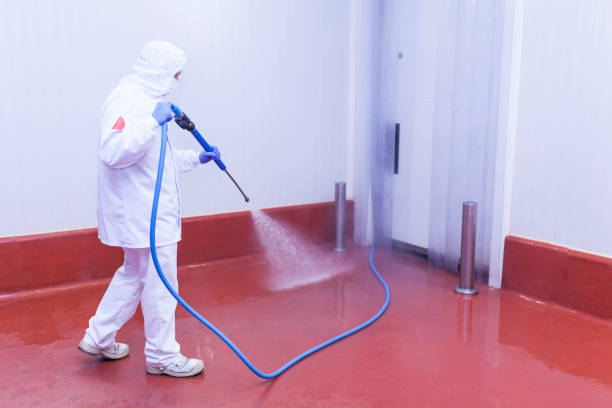 Best Building Exterior Pressure Washing in New Lexington, OH